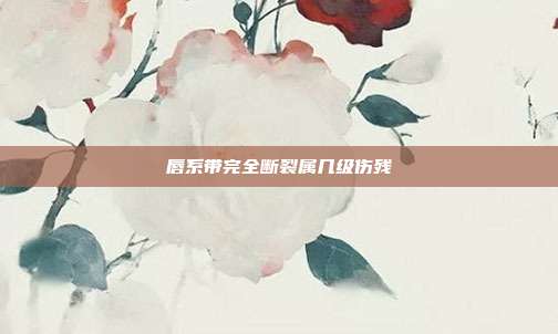 唇系带完全断裂属几级伤残