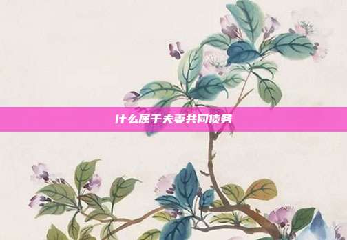 什么属于夫妻共同债务