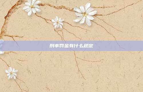 刑事罚金有什么规定