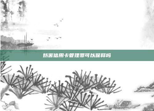妨害信用卡管理罪可以保释吗