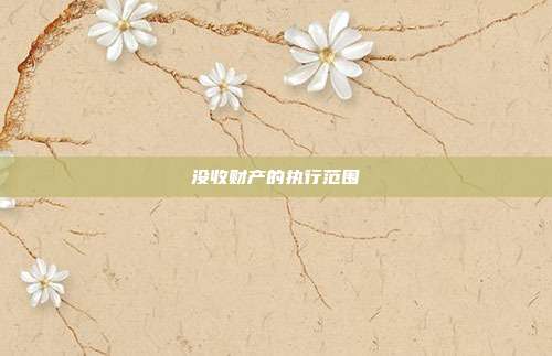 没收财产的执行范围