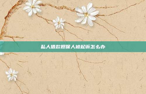私人借款担保人被起诉怎么办