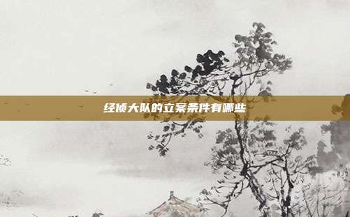 经侦大队的立案条件有哪些
