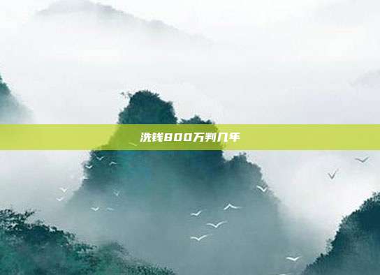 洗钱800万判几年
