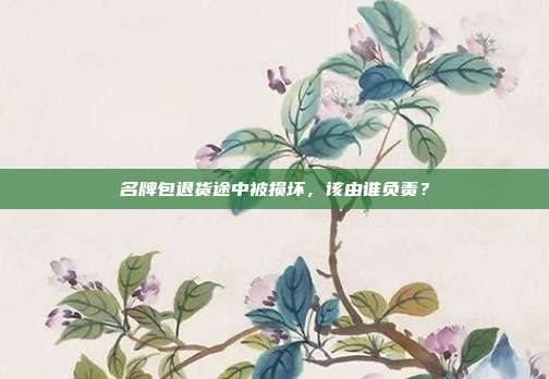 名牌包退货途中被损坏，该由谁负责？