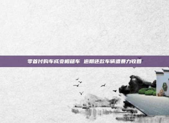 零首付购车成变相租车 逾期还款车辆遭暴力收回
