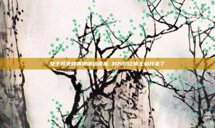 女子将京牌奔驰借给闺蜜 对方却让债主给开走了