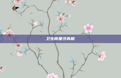 卫生间里寻真相
